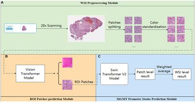 Computational pathology-based weakly supervised prediction model for MGMT promoter methylation status in glioblastoma
